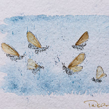 Load image into Gallery viewer, White Moths at Dawn