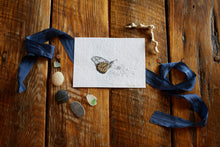 Load image into Gallery viewer, Monarch and Echinacea