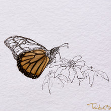 Load image into Gallery viewer, Monarch and Echinacea