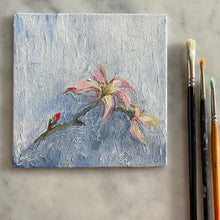 Load image into Gallery viewer, Star Magnolia